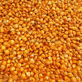 Umbonium dyed gold (Pack of 1kg)