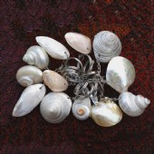 Shell gifts