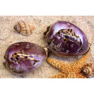 Carved tiger cowrie dolphin