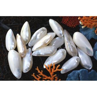 Mussel baby white pearl long pair