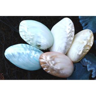 Mussel heavy pearl pastel dyed pair