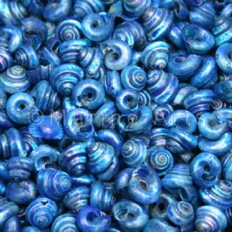 Turbo tiny pearled dyed blue (Pack of 1kg)