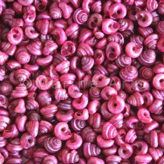 Turbo tiny pearled dyed pink fuschia (Pack of 1kg)