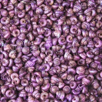 Turbo tiny pearled dyed purple (Pack of 1kg)