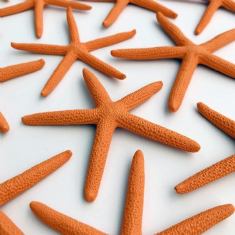Starfish finger coloured orange (Pack of 25)