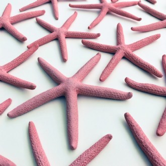 Starfish finger coloured soft pink (Pack of 25)