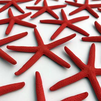 Starfish finger coloured red (Pack of 25)