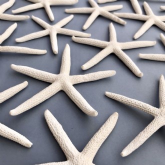 Starfish finger painted white (Pack of 25)