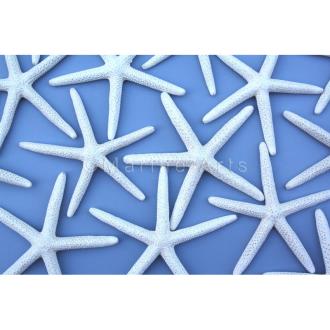 Starfish finger with glitter creamy white