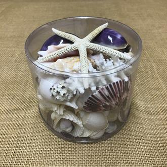 Coral cylinder - Purple and white
