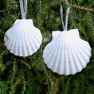 Decoration natural shell Scallop white