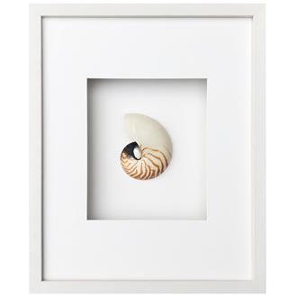 Frame white - white mat - nautilus striped on white