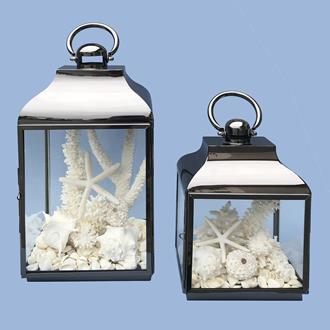 Coral and shell pack white for Hurricane lamp (Lamp not included)