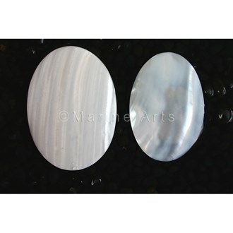 Mussel white pearl oval