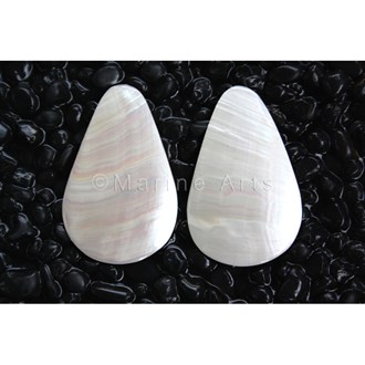 Nautilus pearl ovoid large pair