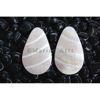 Nautilus pearl ovoid 3 lines small pair