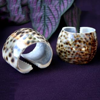 Napkin rings tiger cowrie