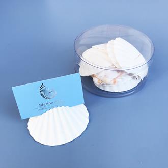 Placecard holder scallop Pecten maximus white cylinder