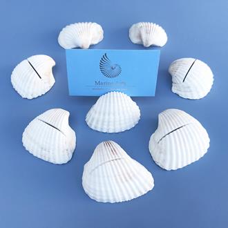 Placecard holder Anadara cockle white