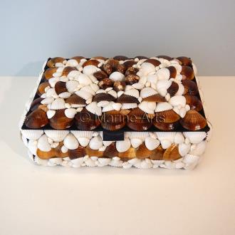 Shell box rectangular brown and white