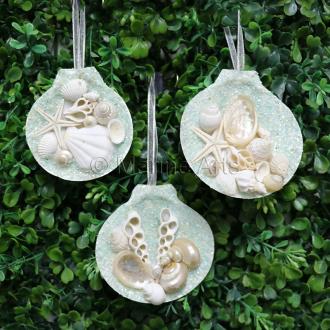 Decoration glitter shell Amusium with pearly shells aqua