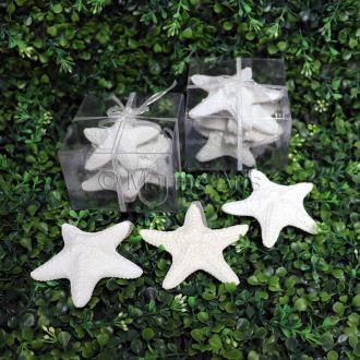 Decoration pack glitter starfish jungle - square with ribbon - ctn of 8 packs