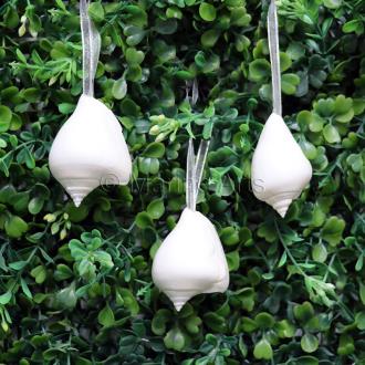 Decoration natural shell Strombus canarium white