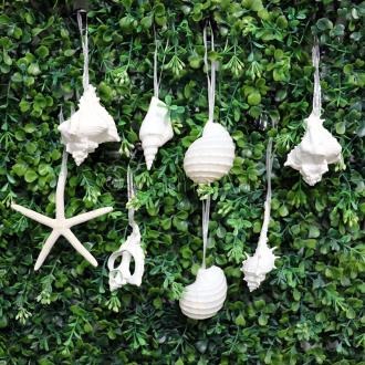 Decoration natural assorted shell white (Pack of 100)