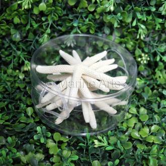 Decoration pack natural cylinder starfish finger