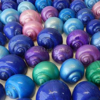 Pet crab shells pearl dyed pastel blue, aqua, purple - Pila globosa
